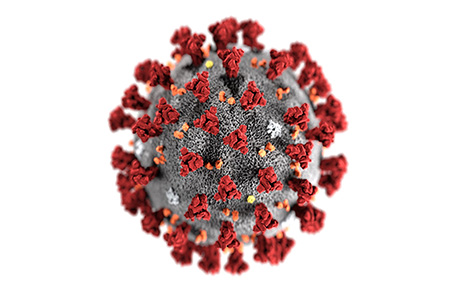 Коронавирусная инфекция Covid-19 вызываемая коронавирусом SARS-CoV-2 (2019-nCoV)